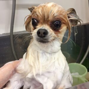 シャンプーミックス