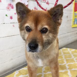 仕上がりミックス