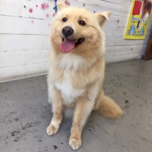 仕上がりミックス