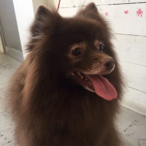 仕上がりミックス