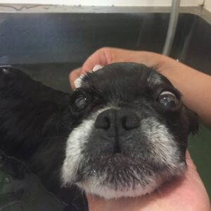 お風呂ミックス