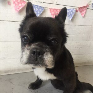 仕上がりミックス