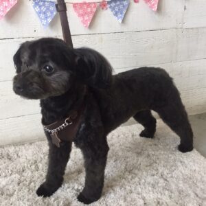 仕上がりミックス