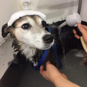 お風呂ミックス