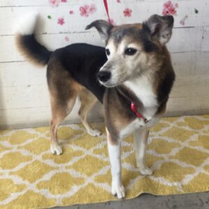 仕上がりミックス