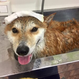 もなちゃんスパ中