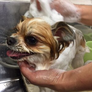 シャンプーミックス