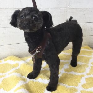 仕上がりミックス