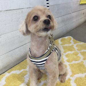 仕上がりミックス