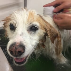 お風呂ミックス