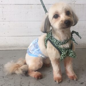 仕上がりミックス