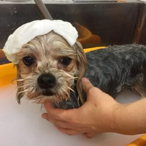 お風呂ミックス