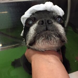 お風呂ミックス