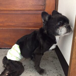 仕上がりミックス