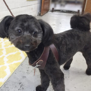 仕上がりミックス