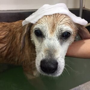 お風呂ミックス