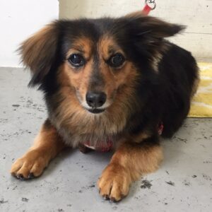 仕上がりミックス