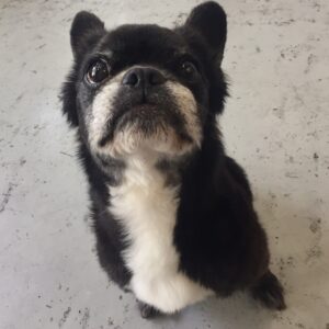 仕上がりミックス