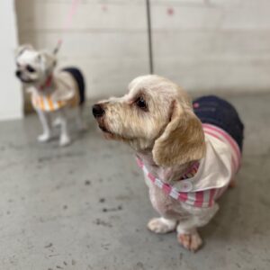 仕上がりミックス