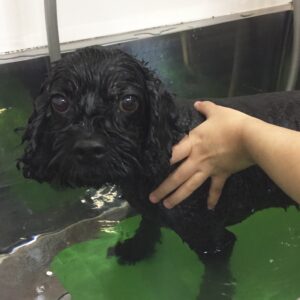 お風呂ミックス