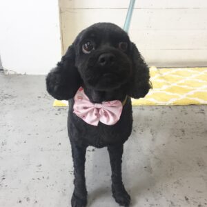 仕上がりミックス