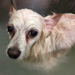 お風呂ミックス