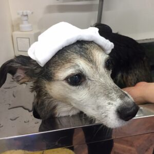 シャンプーミックス