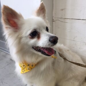 仕上がりミックス