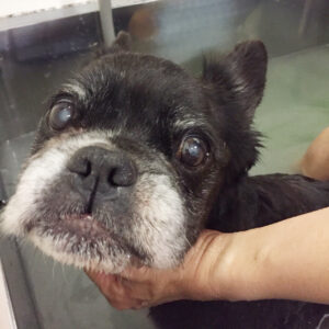 お風呂ミックス