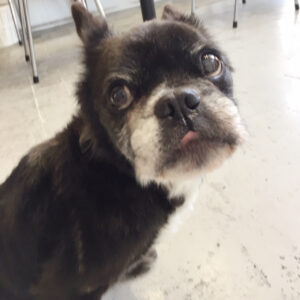 仕上がりミックス