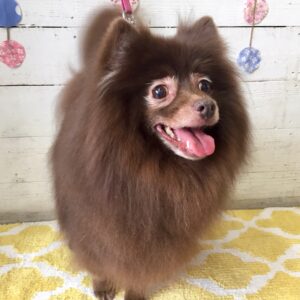 仕上がりミックス