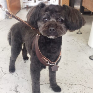 仕上がりミックス