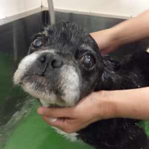 お風呂ミックス