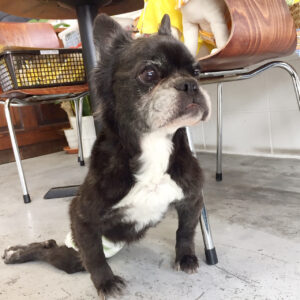 仕上がりミックス