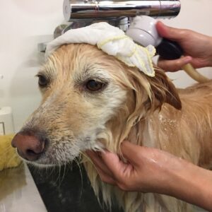 お風呂ミックス