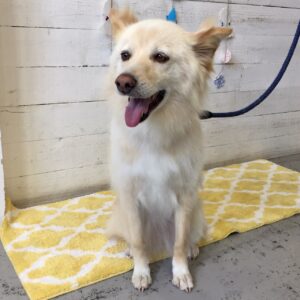 仕上がりミックス