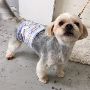 仕上がりミックス