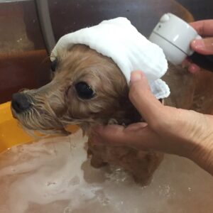 お風呂ミックス