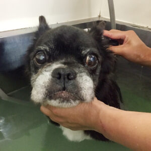 お風呂ミックス