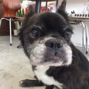 仕上がりミックス