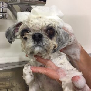 シャンプーミックス