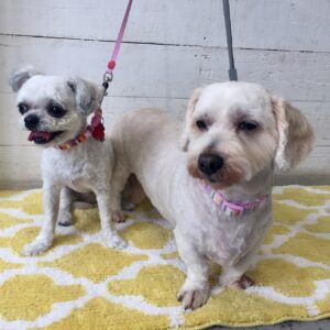 仕上がりミックス