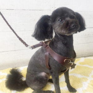 仕上がりミックス