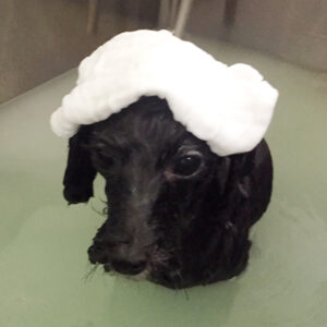 お風呂ミックス