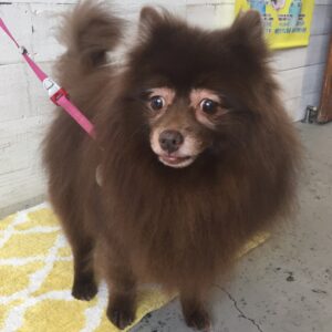 仕上がりミックス