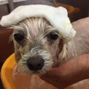 お風呂ミックス