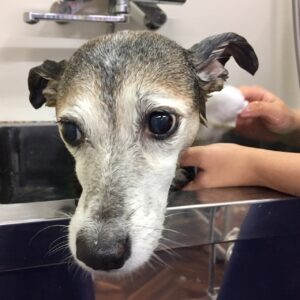 お風呂ミックス