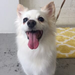 仕上がりミックス