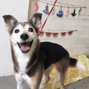 仕上がりミックス