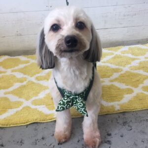 仕上がりミックス